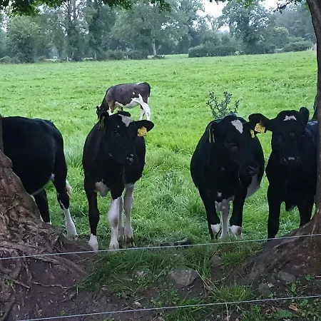 Glasson Glamping Farm Άθλον